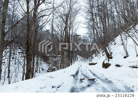 Winter with snowy road Winter with snowy road 23116226