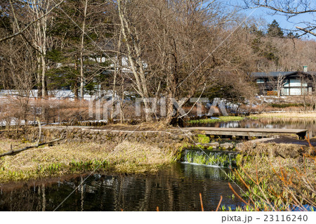 Winter lake and house Winter lake and house 23116240