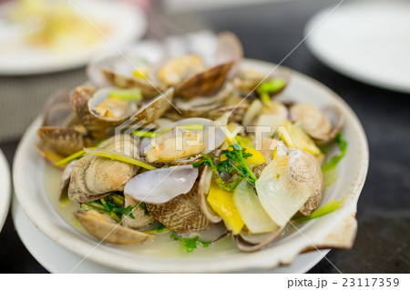 Portuguese clam 23117359