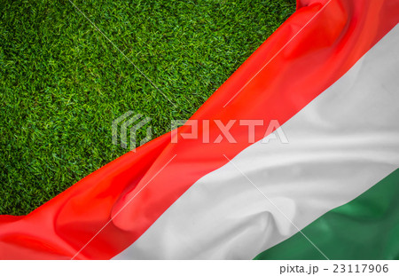 Flags of Hungary on green grass . Flags of Hungary on green grass . 23117906