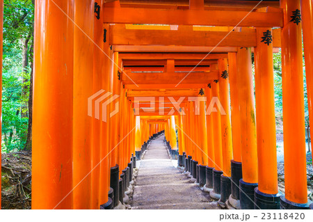 Red Tori Gate at Fushimi Inari Shrine Temple in Kyoto, Japan Red Tori Gate at Fushimi Inari Shrine Temple in Kyoto, Japan 23118420