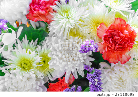 Beautiful flowers for valentines and wedding scene Beautiful flowers for valentines and wedding scene 23118698