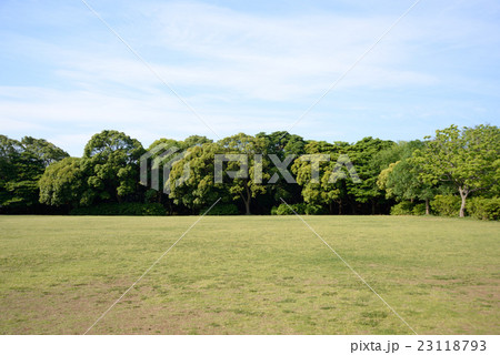 習志野市、香澄公園 習志野市、香澄公園 23118793