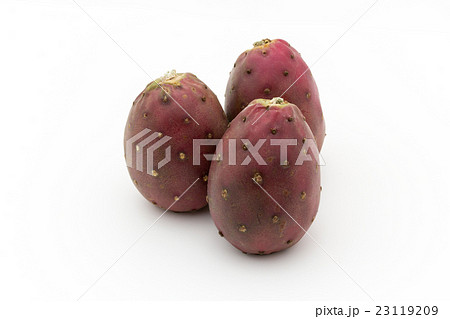 ウチワサボテンの果実（オプンティア）: Cactus Pear 23119209