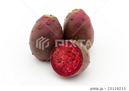 ウチワサボテンの実（オプンティアの実）: Cactus Pear 23119213