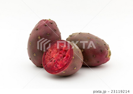 ウチワサボテンの果実(オプンティア): Cactus Pear ウチワサボテンの果実(オプンティア): Cactus Pear 23119214