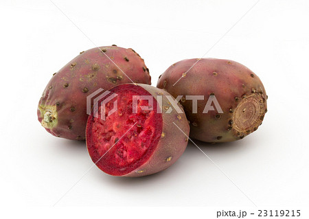 ウチワサボテンの果実(オプンティア): Cactus Pear ウチワサボテンの果実(オプンティア): Cactus Pear 23119215