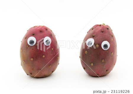 目玉シール・ウチワサボテンの果実 : Wiggly-eyed Cactus Pear 23119226