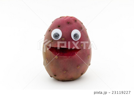 目玉シール・ウチワサボテンの果実 : Wiggly-eyed Cactus Pear 目玉シール・ウチワサボテンの果実 : Wiggly-eyed Cactus Pear 23119227