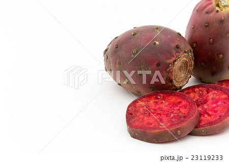 ウチワサボテンの果実（オプンティア）: Cactus Pear 23119233