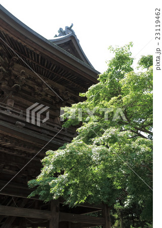 鎌倉円覚寺山門ともみじ 23119462