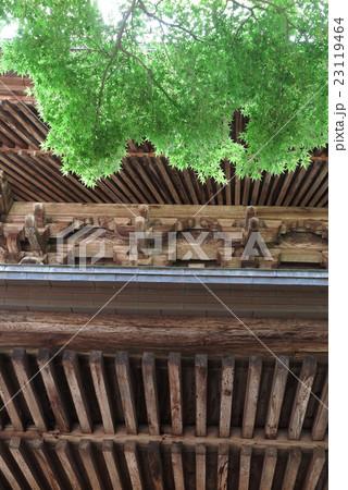 鎌倉円覚寺 鎌倉円覚寺 23119464