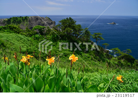 あいあい岬から展望 23119517