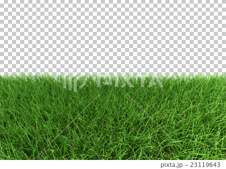 芝 切り抜き 白背景のイラスト素材