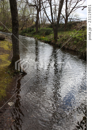 小川_自然_北海道 小川_自然_北海道 23119801
