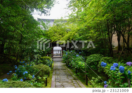 金地院　東照宮への参道 23121009