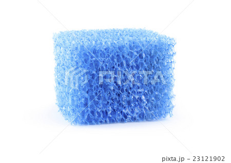 Sponge 23121902