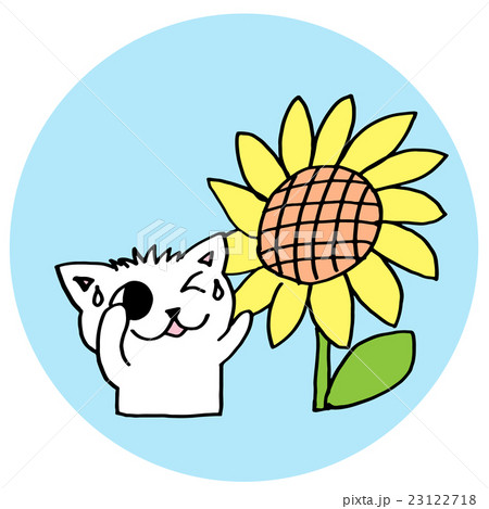ネコとひまわりのイラスト素材 [23122718] - PIXTA