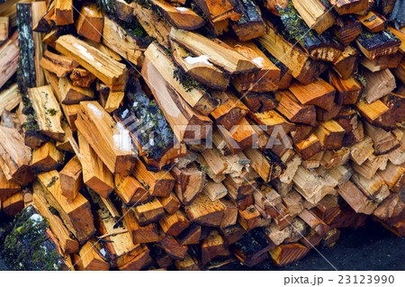 bunch of wet firewood bunch of wet firewood 23123990