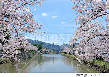 鳥取城　内堀と桜 23124569