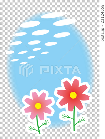 Cosmos Cosmos 23124658