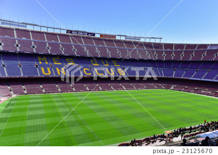 カンプノウ 23125670