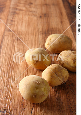 じゃがいも 23126395