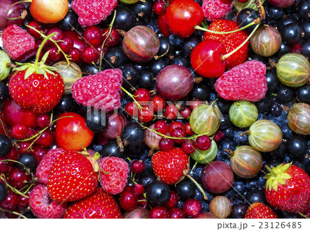 berry background berry background 23126485