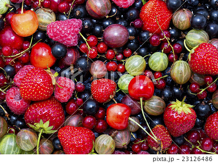 berry background berry background 23126486