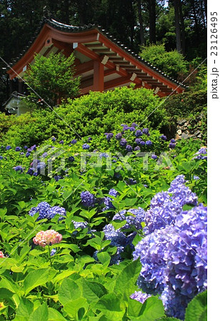 三室戸寺 23126495