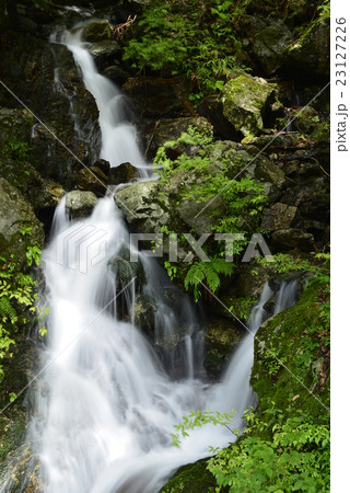 紀伊山地の清流/奈良県 下北山村 紀伊山地の清流/奈良県 下北山村 23127226