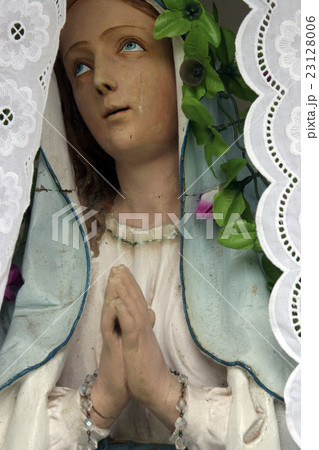 Virgin Mary Virgin Mary 23128006