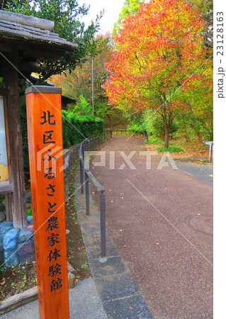 赤羽自然観察公園の秋の風景 23128163