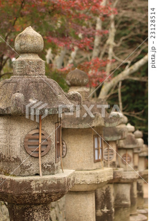 灯篭　灯籠　三井寺 23128514