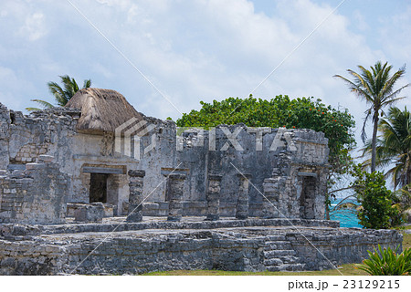 カンクン カンクン 23129215