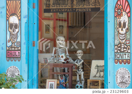 グアナフォト 23129603