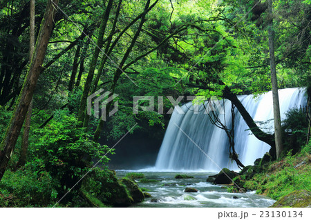 梅雨時期の鍋ヶ滝 23130134