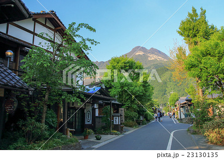 大分県湯布院　初夏の由布岳と湯坪通り 23130135