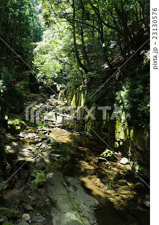 赤目四十八滝を流れる滝川、三重県、日本 赤目四十八滝を流れる滝川、三重県、日本 23130576