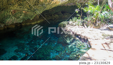 メキシコ 23130829