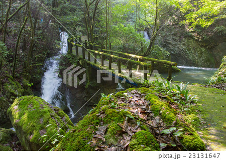 愛媛県西予市 桂川渓谷 愛媛県西予市 桂川渓谷 23131647