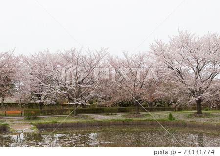 春景色 春景色 23131774