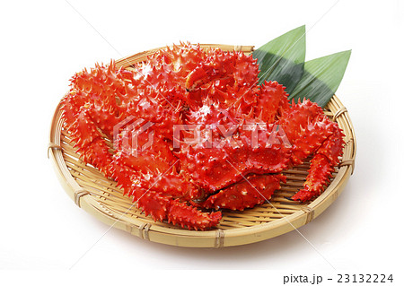花咲蟹 花咲蟹 23132224