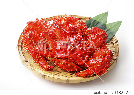 花咲蟹 23132225