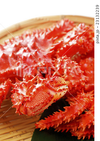 花咲蟹 花咲蟹 23132239