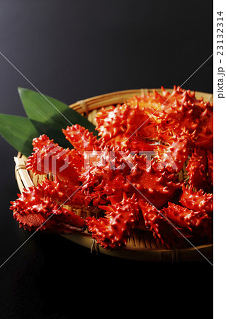 花咲蟹 23132314