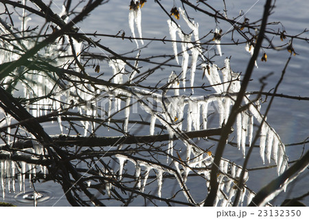 A lot of icicles at a lake A lot of icicles at a lake 23132350