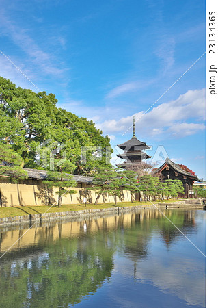 錦秋の東寺五重塔 錦秋の東寺五重塔 23134365