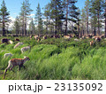 走るトナカイの群れ 23135092