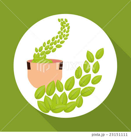 Healthy lifestyle design, fitness concept 23151111